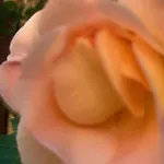 Ruhige Mit Schoenem Eigengarten In Am Millstaettersee 아파트 시보덴