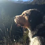 Ruhige Mit Schoenem Eigengarten In Am Millstaettersee * 시보덴
