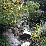 아파트 Ruhige Mit Schoenem Eigengarten In Am Millstaettersee *