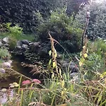 Ruhige Mit Schoenem Eigengarten In Am Millstaettersee 아파트 시보덴