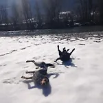 아파트 Ruhige Mit Schoenem Eigengarten In Am Millstaettersee *