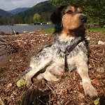 Ruhige Mit Schoenem Eigengarten In Am Millstaettersee *