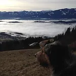 דירה Ruhige Mit Schoenem Eigengarten In Am Millstaettersee סיבודן