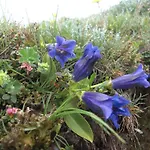 Ruhige Mit Schoenem Eigengarten In Am Millstaettersee 아파트 *