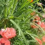 아파트 Ruhige Mit Schoenem Eigengarten In Am Millstaettersee *