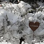 Ruhige Mit Schoenem Eigengarten In Am Millstaettersee 시보덴