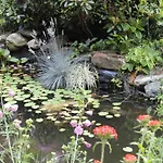 아파트 Ruhige Mit Schoenem Eigengarten In Am Millstaettersee