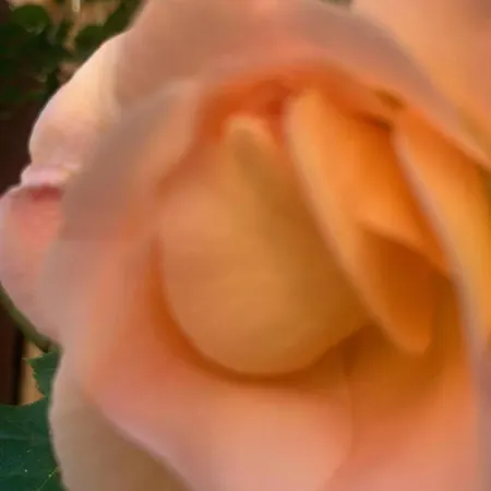 Ruhige Mit Schoenem Eigengarten In Am Millstaettersee Appartamento Seeboden