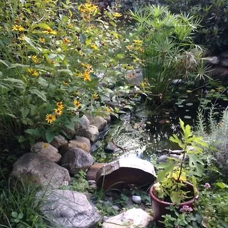 Apartment Hunde Und Sind In Der Gartenwohnung Gretl Mit Biotop In Seenähe Herzlich Willkommen *