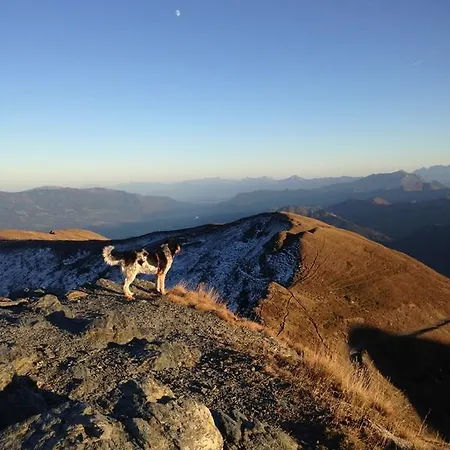 Ruhige Mit Schoenem Eigengarten In Am Millstaettersee * Seeboden