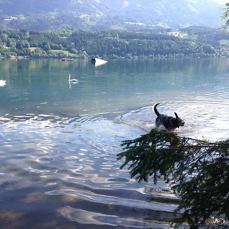 Apartmán Ruhige Mit Schoenem Eigengarten In Am Millstaettersee
