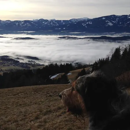 Apartment Hunde Und Sind In Der Gartenwohnung Gretl Mit Biotop In Seenähe Herzlich Willkommen Seeboden am Millstätter See
