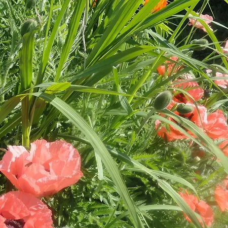 Apartmán Ruhige Mit Schoenem Eigengarten In Am Millstaettersee *