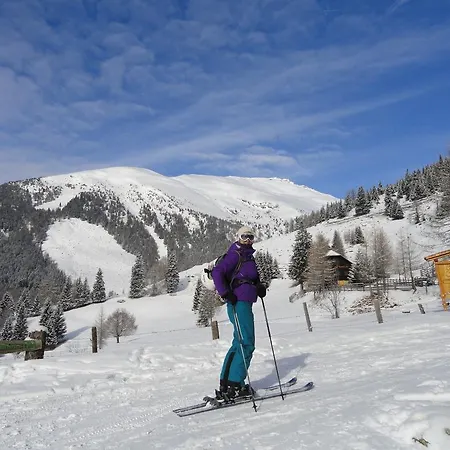 Ruhige Mit Schoenem Eigengarten In Am Millstaettersee Seeboden