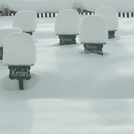 Ruhige Mit Schoenem Eigengarten In Am Millstaettersee Seeboden